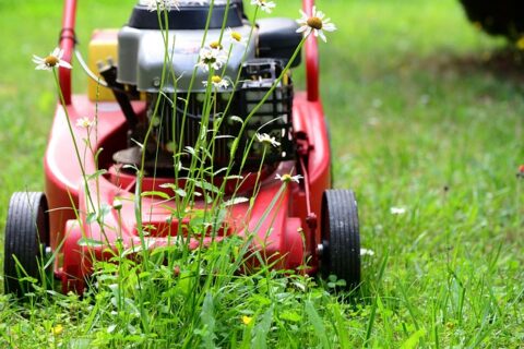 lawn-tools